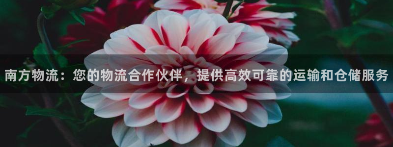 28圈登录不上咋回事：南方物流：您的