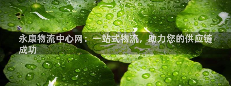 28圈黑平台吗：永康物流中心网：一站