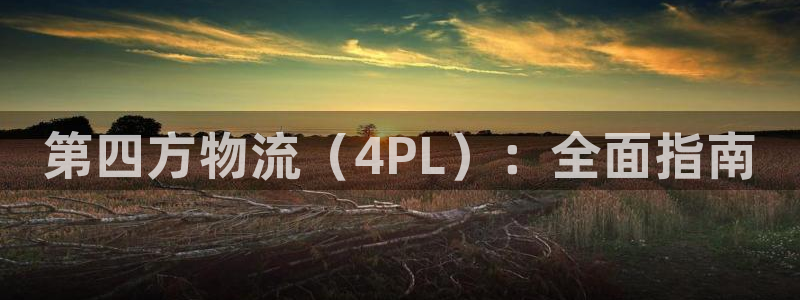 28圈cn：第四方物流（4PL）：全